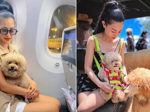 Trải lòng cô gái Việt chi tiền khủng đưa thú cưng lên máy bay đi châu Âu
