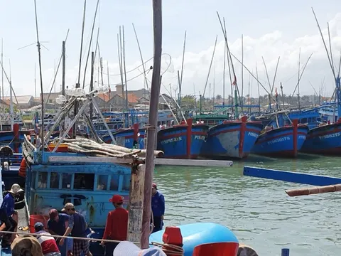 Phú Yên ban bố lệnh cấm biển phòng tránh bão Noru (bão số 4)