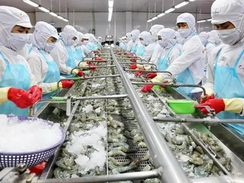 Thúc đẩy hợp tác về thủy sản với các địa phương tại Ấn Độ