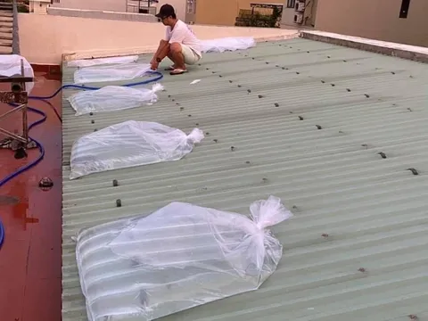 SIÊU BÃO NORU: Hối hả "chạy bão" ở Thừa Thiên - Huế, Bình Định