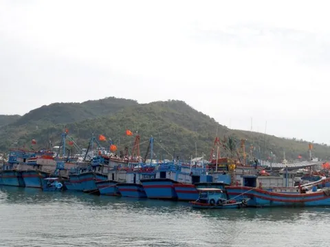 Khánh Hòa tiếp tục công tác triển khai ứng phó với bão Noru