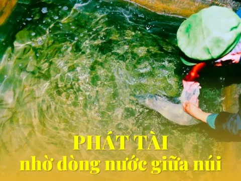 Lão nông xẻ núi tìm “vàng sống" bị chê cười vì quá hoang đường, 15 năm sau tiền về không ngớt