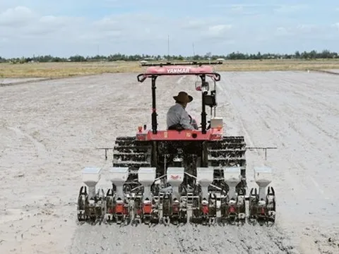 Ngành gạo “thênh thang” đường mới, lội ngược dòng trong làn sóng giảm giá của thị trường chứng khoán