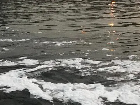 Hà Nội: Bất ngờ kênh dẫn nước Yên Sở bọt trắng như băng đổ ra sông Hồng