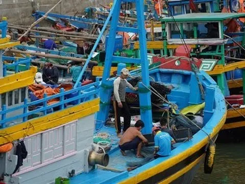 Ứng phó bão Noru, tỉnh Bình Thuận có kế hoạch sơ tán dân