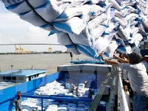 Hợp đồng 30.000 tấn gạo Việt sang Bangladesh nguy cơ lỗ lớn?