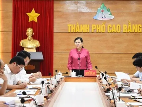 141 đảng viên tại một địa phương bị kỷ luật, hàng chục đảng viên bị khai trừ