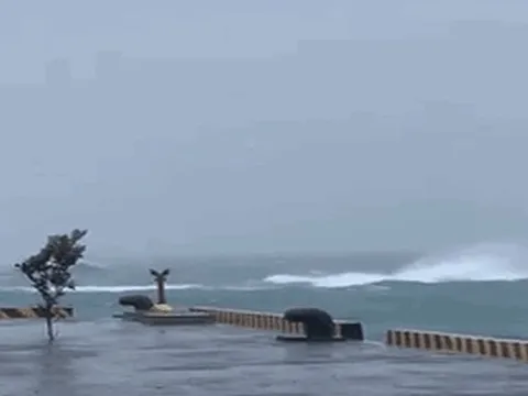 Bão số 4 (Noru): Đảo Lý Sơn gió giật cấp 11, cây cối gãy đổ