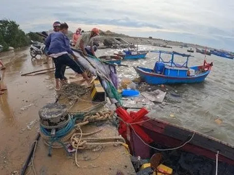 Quảng Ngãi: Yêu cầu khắc phục khẩn 633 căn nhà tốc mái, hư hỏng