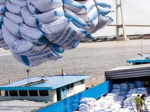 Gạo Việt Nam gia nhập đường đua giá trị