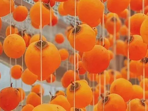 Ngắm dàn hồng treo gió khiến cộng đồng Facebook "dậy sóng" của mẹ đảm