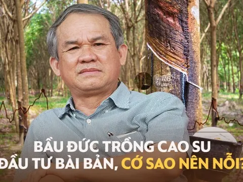 Bài học "bán nhà trồng cao su" của bầu Đức: Vì sao đầu tư bài bản, quy mô Đông Dương, công nghệ Israel, kết quả là sóng gió suốt thập kỷ?