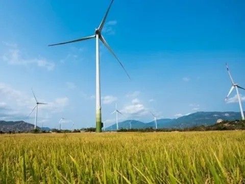 Khối tài sản 15.000 tỷ của BB Power Holdings