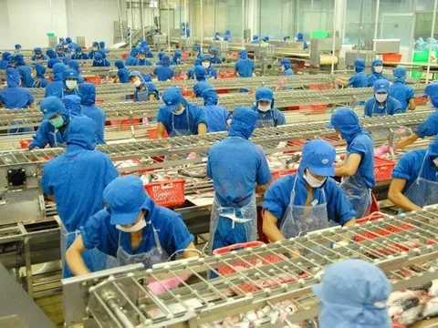 Tập đoàn Sao Mai chốt ngày trả 505 tỷ cổ tức cho cổ đông