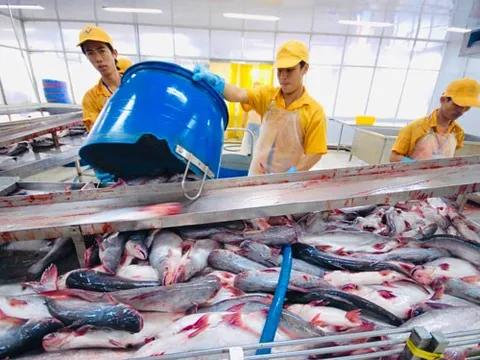 GDP quý III của Việt Nam tăng 13,67%