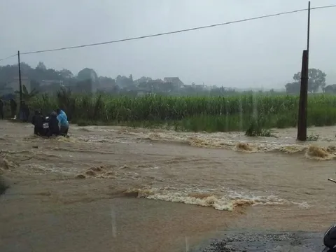 Tá hỏa phát hiện người đàn ông tử vong ngoài cánh đồng