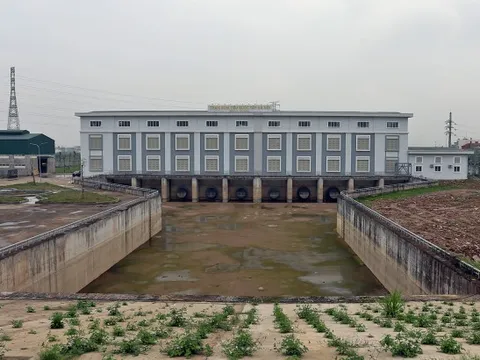 Nghịch lý ngập - khát