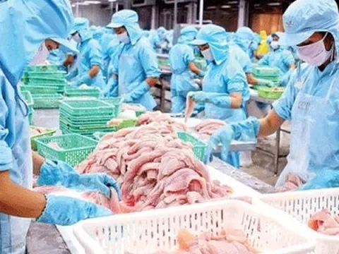 Thuỷ sản Nam Việt trả cổ tức hơn 127 tỷ đồng