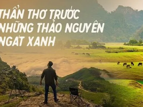 Những "miền thảo nguyên xanh" ở Việt Nam khiến du khách lưu luyến từ cái nhìn đầu tiên