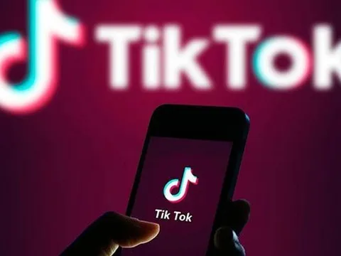 Netflix, Google, TikTok,... nộp thay các cá nhân Việt Nam gần 500 tỷ đồng