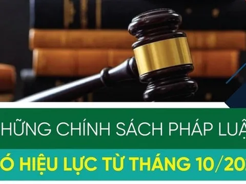 Những chính sách pháp luật có hiệu lực từ tháng 10/2022