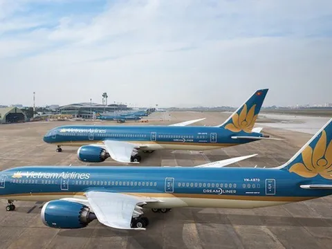 Hình ảnh Bông Sen Vàng của Vietnam Airlines xuất hiện khi nào?