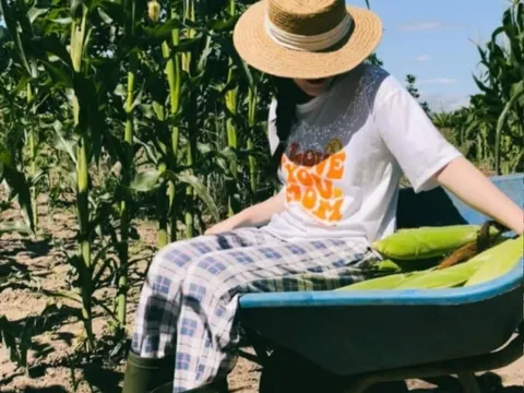 Công an xác định Tina Dương có dấu hiệu lừa bán ôtô đi thuê, chiếm đoạt hàng trăm triệu đồng