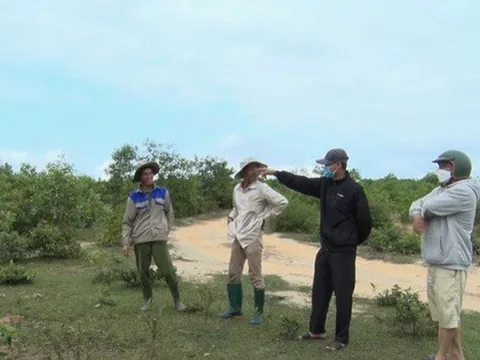 Quảng Trị thu hồi dự án nông nghiệp công nghệ cao của FLC