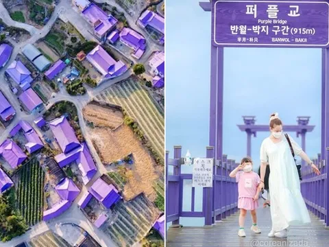 Hòn đảo kỳ lạ ở Hàn Quốc nơi tất tần tật mọi thứ đều ngập trong sắc tím, góc nào cũng đẹp long lanh