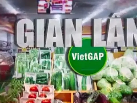 Đến năm 2030, cả nước sẽ có 28 sân bay