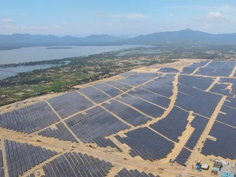 Bamboo Capital (BCG) sắp phát hành cổ phiếu giá 10.000 đồng/cp, "bơm" vốn cho công ty bảo hiểm