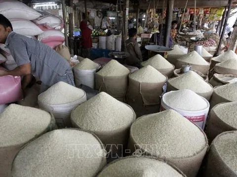 Thị trường gạo thế giới: Bấp bênh sau lệnh cấm xuất khẩu của Ấn Độ