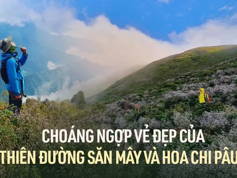 Khám phá những thiên đường săn mây và hoa chi pâu tuyệt đẹp ở vùng Tây Bắc