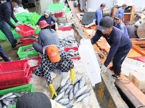 Khánh Hòa cần chuẩn bị sẵn sàng các điều kiện để đón đoàn EC