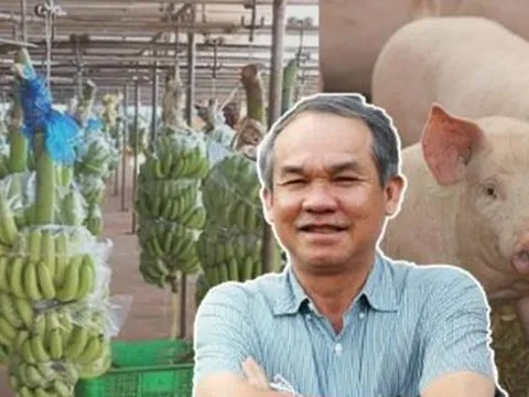 Bài toán tài chính hóc búa với bầu Đức khi một lần nữa đặt cược vào chăn nuôi là gì?