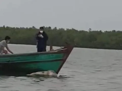 Người đàn ông quê Cà Mau té xuống biển tử vong khi đang đi đánh bắt