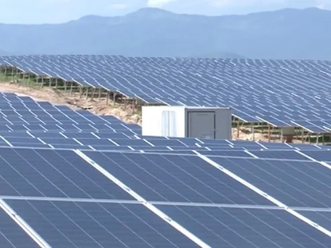 Vì sao EVN ngừng mua 172MW điện mặt trời?