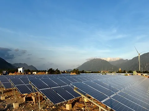 Lãnh đạo Bộ Công Thương lý giải việc cắt gần 40% công suất nhà máy điện mặt trời của Trungnam Group