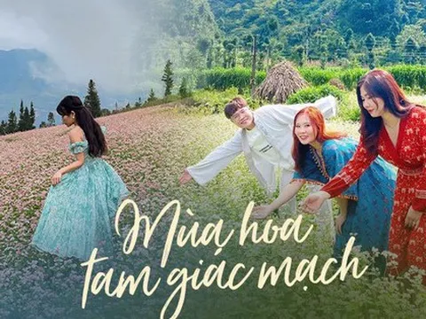 Không chỉ ở Hà Giang, 3 địa điểm cũng có hoa tam giác mạch nở rực rỡ đẹp đến nao lòng