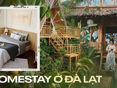 5 homestay đang được giảm giá ở Đà Lạt cho bạn thoả thích 'đón đầu' mùa hồng chín