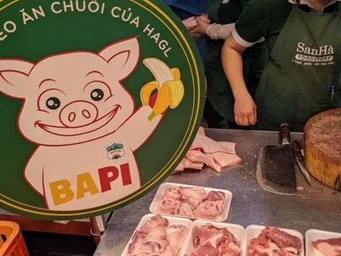 Quả chuối, con heo có thực sự đang giúp bầu Đức cứu HAGL thoát lỗ?