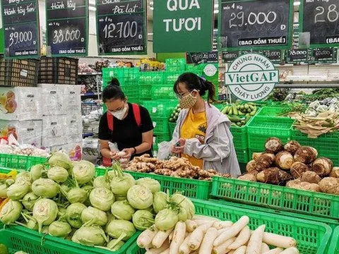 Kẽ hở giúp rau bẩn “đội lốt” VietGAP vào siêu thị?