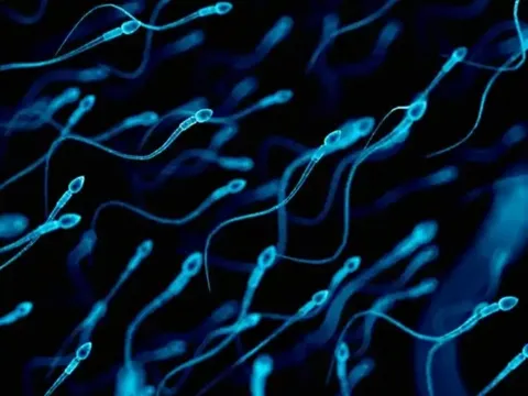 Chất chống gỉ sét làm yếu tinh trùng