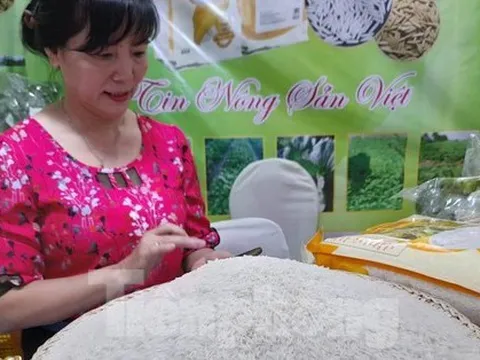 Giá gạo Việt Nam tăng vượt Thái Lan, gạo 100% tấm 'cháy' hàng