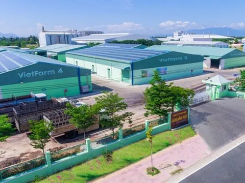 “Vua nha đam” sắp lên sàn chứng khoán là ai?