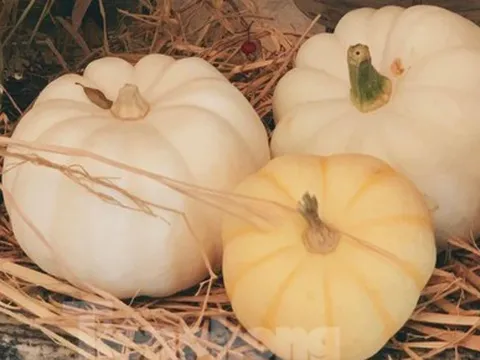 Người Hà Nội 'phát sốt' với những loại rau quả đẹp không nỡ ăn