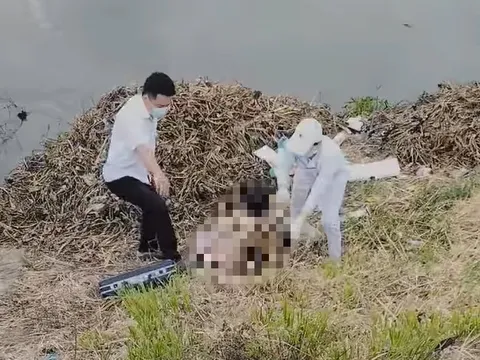 Cô gái tự thiêu bên hồ Bồ Đề, nghi bị trầm cảm