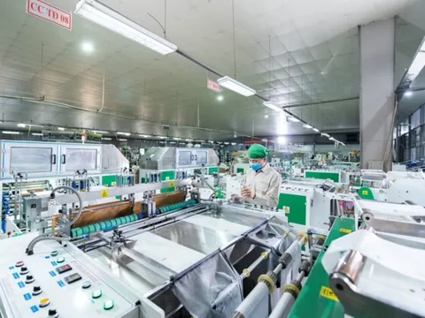 Tập đoàn Stavian: Phát triển chuỗi cung ứng bền vững, đồng hành cùng xã hội