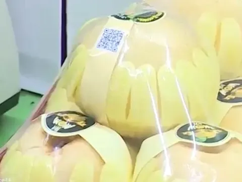 Vạch trần thủ đoạn gian dối xuất xứ lê Hàn Quốc