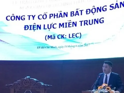 Nghịch lý doanh nghiệp lỗ, đau khổ với cổ phiếu liên tục tăng trần